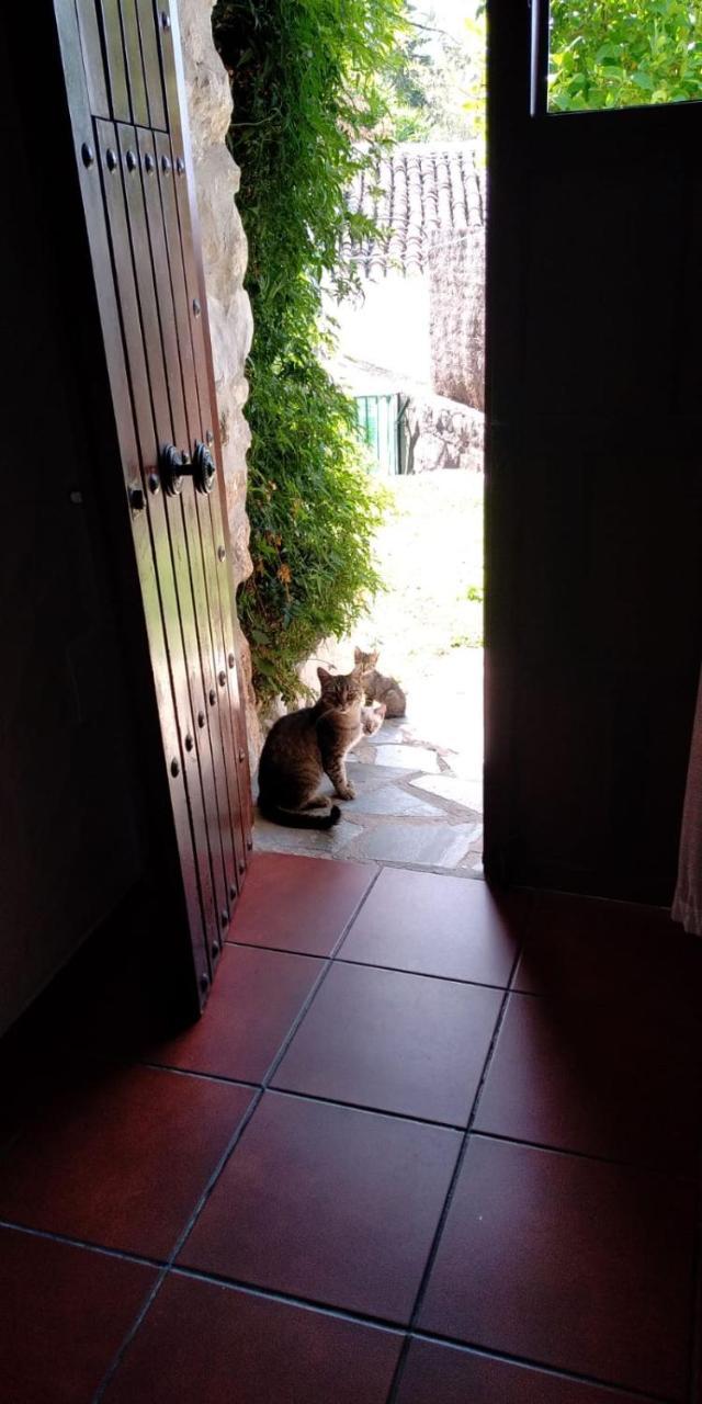 Willa Casa Nani Benaocaz Zewnętrze zdjęcie